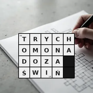 Hasło krzyżówkowe choroba pasożytnicza świń wywoływana przez rzęsistka świńskiego - trychomonadoza świń – rozwiązanie, synonimy, podpowiedzi i definicje krzyżówkowe